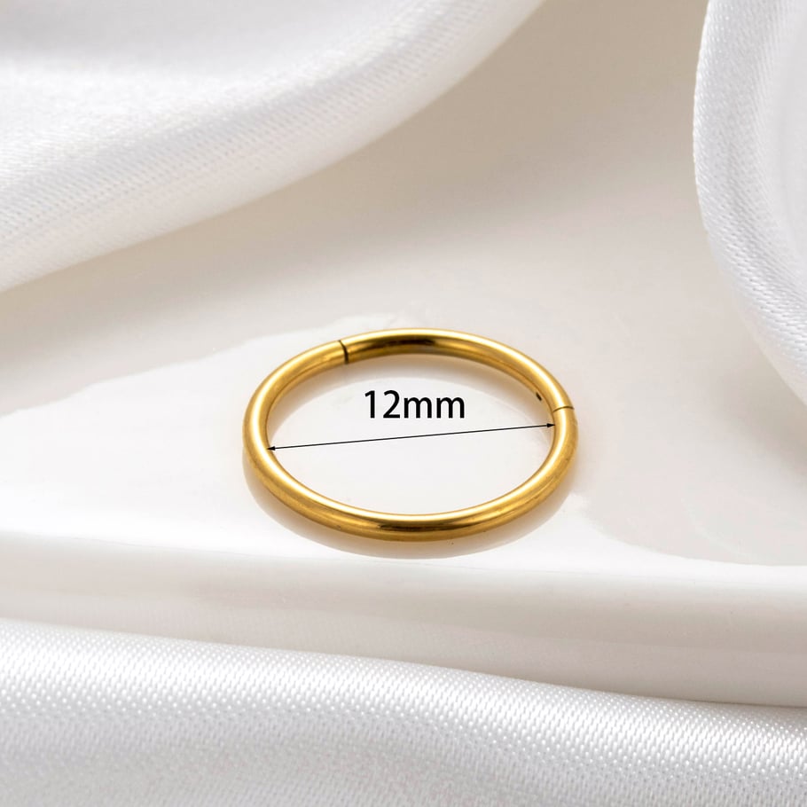 1 Stück Simple Series Klassische geometrische Creolen aus Titanstahl mit 18 Karat Goldbeschichtung für Damen 